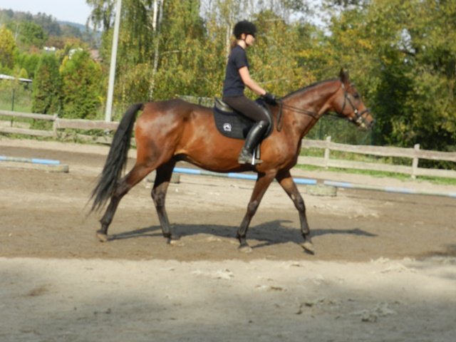 Babie Lato 2016